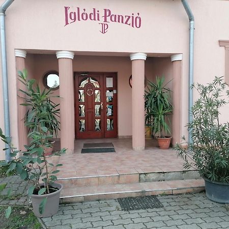 מלון Kunszentmárton Iglodi Panzio מראה חיצוני תמונה