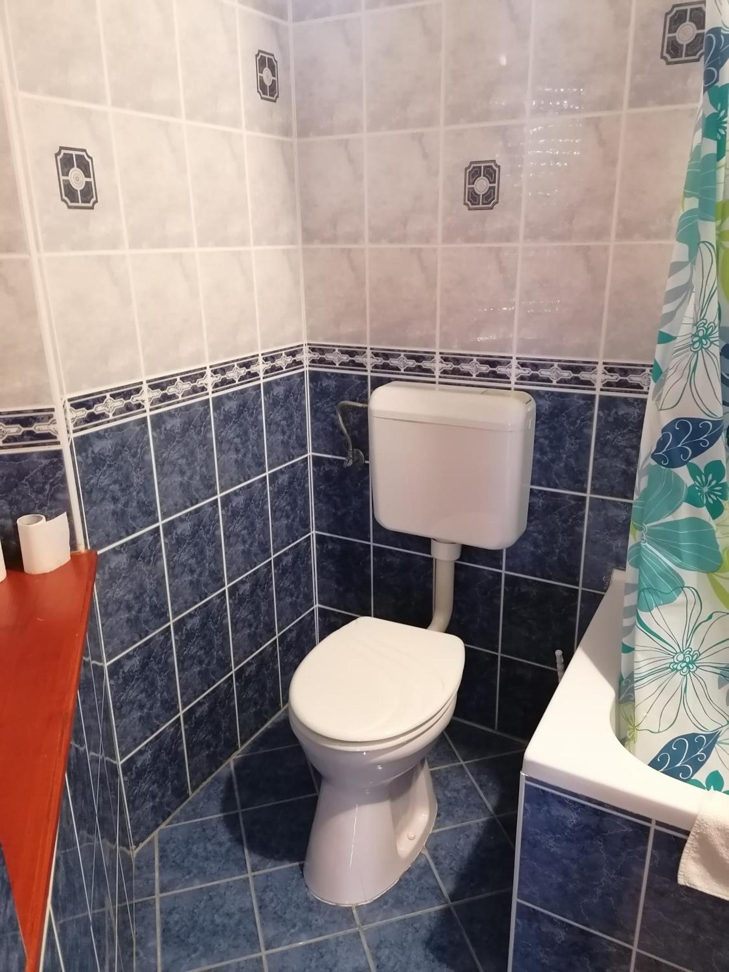 מלון Kunszentmárton Iglodi Panzio מראה חיצוני תמונה